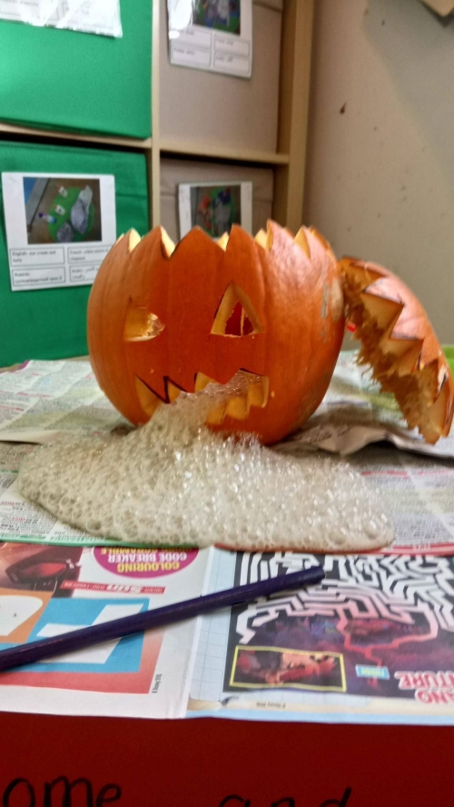 45282982 1218029144988929 1837030501173428224 o