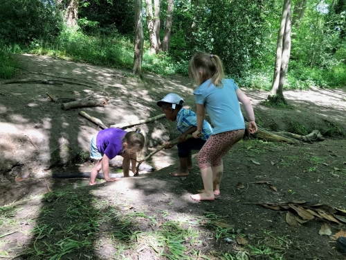 205496887 3100592600065898 2507704203539054055 n